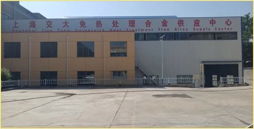 爱尔思在重庆投资免热处理材料及汽车压铸部件项目